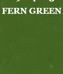 YOUGHIOGHENY - FERN GREEN OPAL - FUSIBLE 96