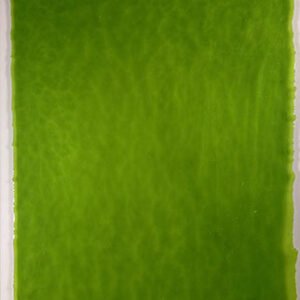 YOUGHIOGHENY - Lime green stipple