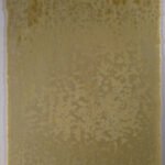 YOUGHIOGHENY - LABURNUM A" RG"