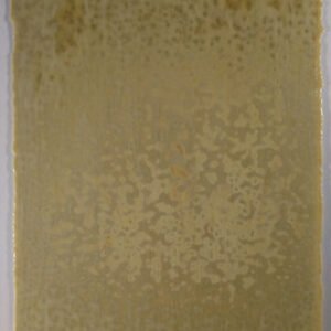 YOUGHIOGHENY - LABURNUM A" RG"