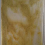 YOUGHIOGHENY - LABURNUM STIPPLE - Autumn Gold and Yellow Gold