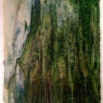 YOUGHIOGHENY - AMBER TONES AND GREENS (LANDSCAPE RG)