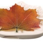 MOLD NORTHWOODS MAPLE