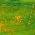 UROBOROS - AVOCADO AND FOREST GREEN WITH DEEP AMBER HIGHLIGHTS