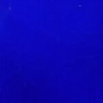 WISSMACH - MYSTIC - COBALT BLUE