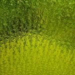 WISSMACH MEDIUM YELLOW/GREEN FLORENTINE CATHEDRAL