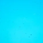 Wissmach - Peacock Feather Cathedral Fusible COE 96