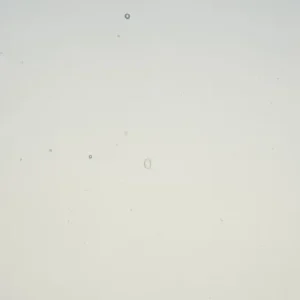 WISSMACH - DARK GREY CATHEDRAL Fusible COE 96