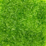 UROBOROS - 96 FRIT - MED. MOSS GREEN (5262)