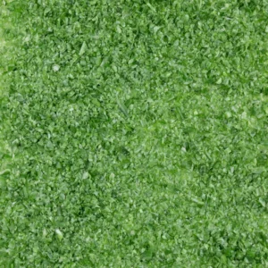 OCEANSIDE FOREST GREEN MEDIUM 4LBS