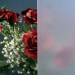 Frosted Float - 3mm acid etched