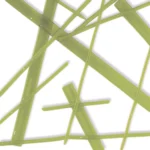 UROBOROS LIGHT OLIVE GREEN TRANSPARENT NOODLE