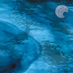 OCEANSIDE - STEEL BLUE ON SKY BLUE STREAKY WATERGLASS