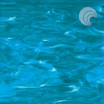 OCEANSIDE - DEEP AQUA WISPY