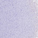 Uroboros- 96 frit- grape fine- 4lb jar