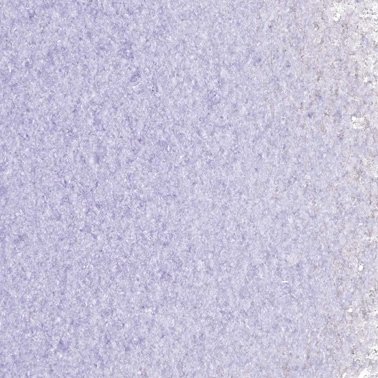 Uroboros- 96 frit- grape fine- 4lb jar