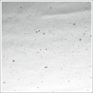 WISSMACH - AMBER TINT SEEDY