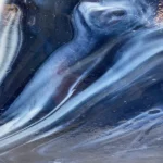 WISSMACH - STEEL BLUE WISPY