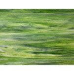 WISSMACH - DARK GREEN OPAL GRANITE