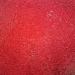 WISSMACH - RED DEW DROP