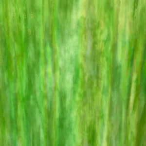 WISSMACH MEDIUM GREEN OPAL IRIDESCENT