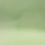 WISSMACH - ARMY YELLOW GREEN