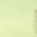 WISSMACH - MYSTIC - ARMY YELLOW GREEN