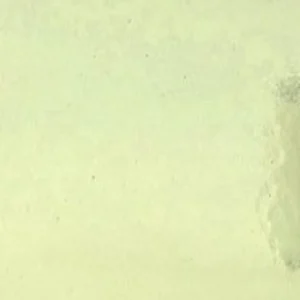 WISSMACH - MYSTIC - ARMY YELLOW GREEN