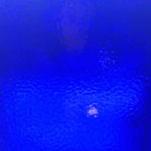 Wissmach - Dark Blue - Corella Classic