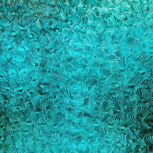 WISSMACH AQUA BLUE/GREEN FLORENTINE