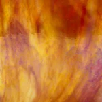 WISSMACH - ORANGE/WHITE OPAL IRIDESCENT