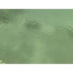 WISSMACH - PALE GREEN CATHEDRAL