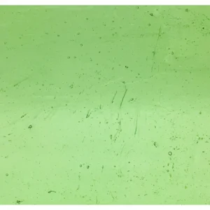 WISSMACH - LIGHT GREEN