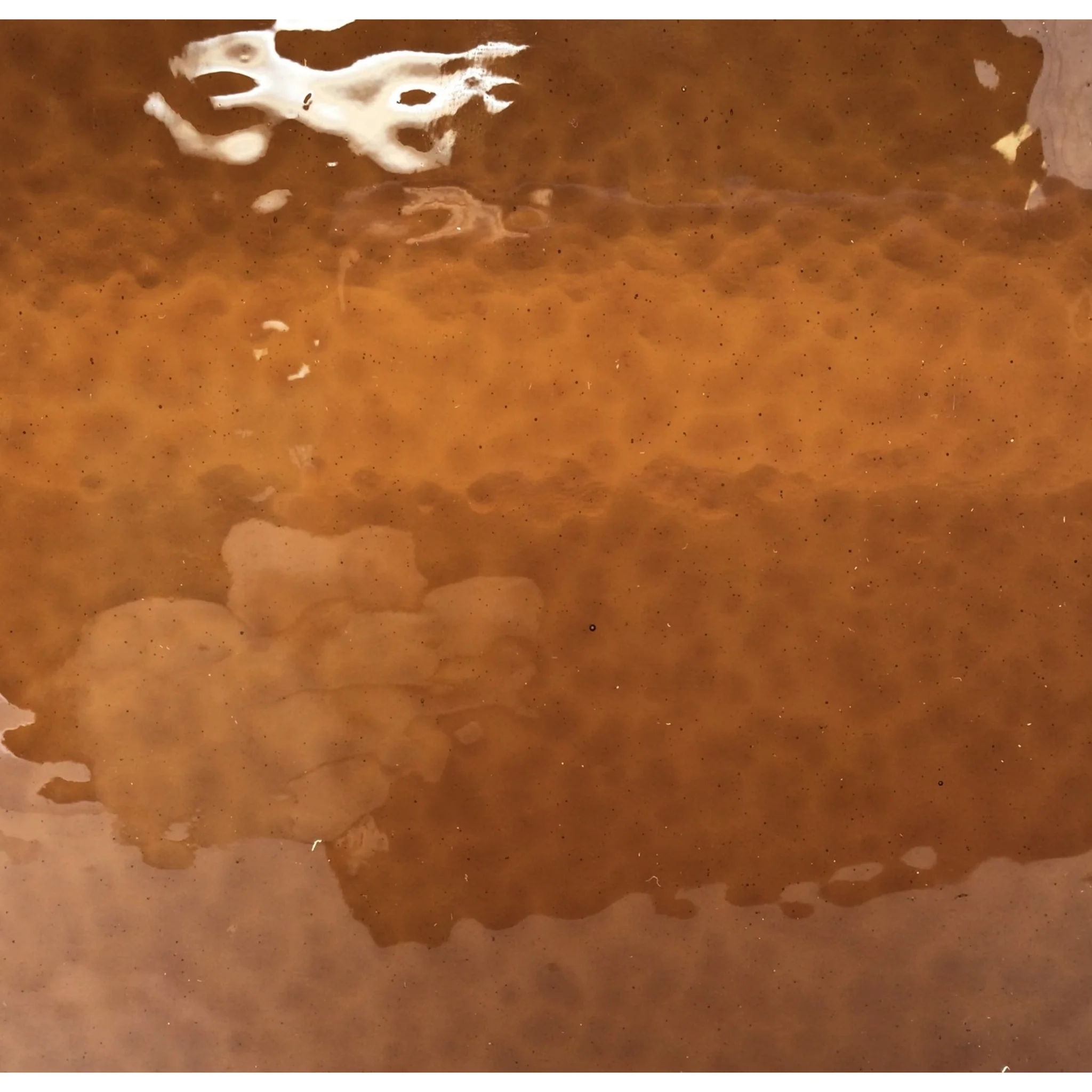 WISSMACH - DARK AMBER/BROWN CORELLA CLASSIC