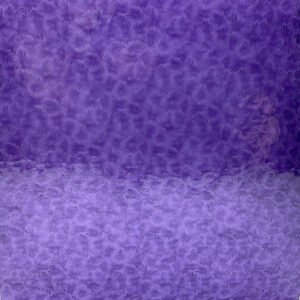 WISSMACH - VIOLET CATHEDRAL FLORENTINE