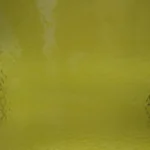 WISSMACH - CADMIUM YELLOW CORELLA CLASSIC