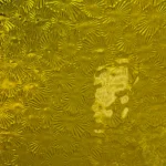 WISSMACH - CADMIUM YELLOW FLORENTINE
