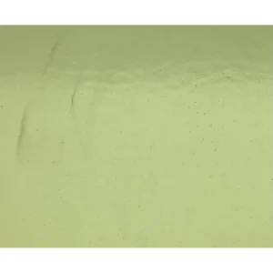 Wissmach - Olive Green Double Rolled