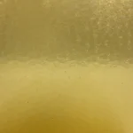 WISSMACH - PALE AMBER FLORENTINE