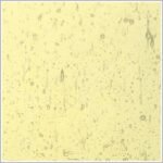 WISSMACH - LIGHT AMBER SEEDY CATHEDRAL