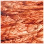 WISSMACH - BURGUNDY AND CLEAR STREAKY