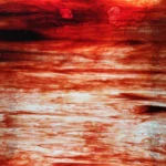 WISSMACH - ROUGE/CLAIR - RED/CLEAR