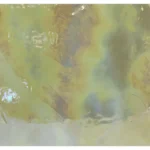 WISSMACH - BEIGE IRIDESCENT