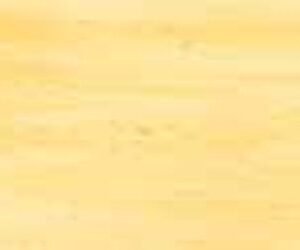 WISSMACH - BEIGE/CLEAR