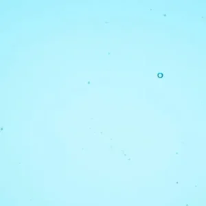 Wissmach - Deep Sky Blue Cathedral Fusible COE 96