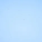 Wissmach - Corn Flower Blue Cathedral Fusible COE 96