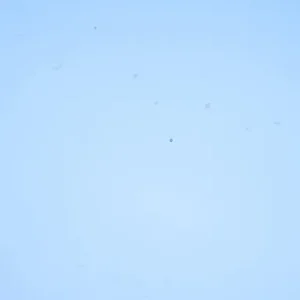 Wissmach - Corn Flower Blue Cathedral Fusible COE 96