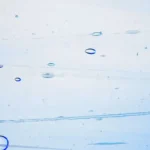 Wissmach - Prisma Glass - Crystal/Superior Blue Fusible COE 96