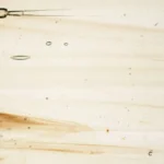 Wissmach - Prisma Glass - Crystal/Black Fusible COE 96