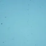 WISSMACH - STEEL BLUE TRANSPARENT Fusible COE 96